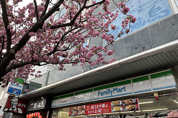 桜新町駅前店