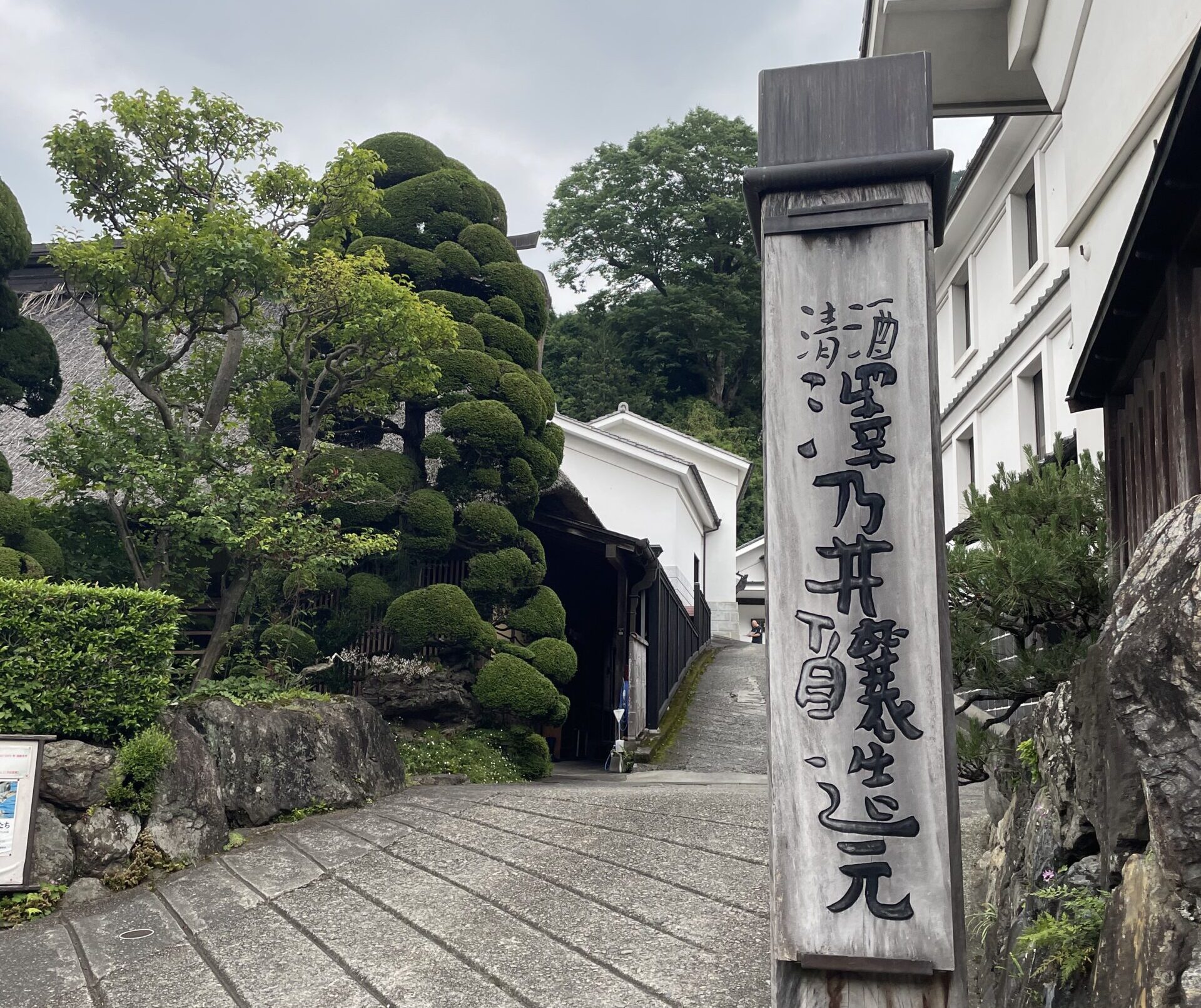 酒蔵見学に行きました。