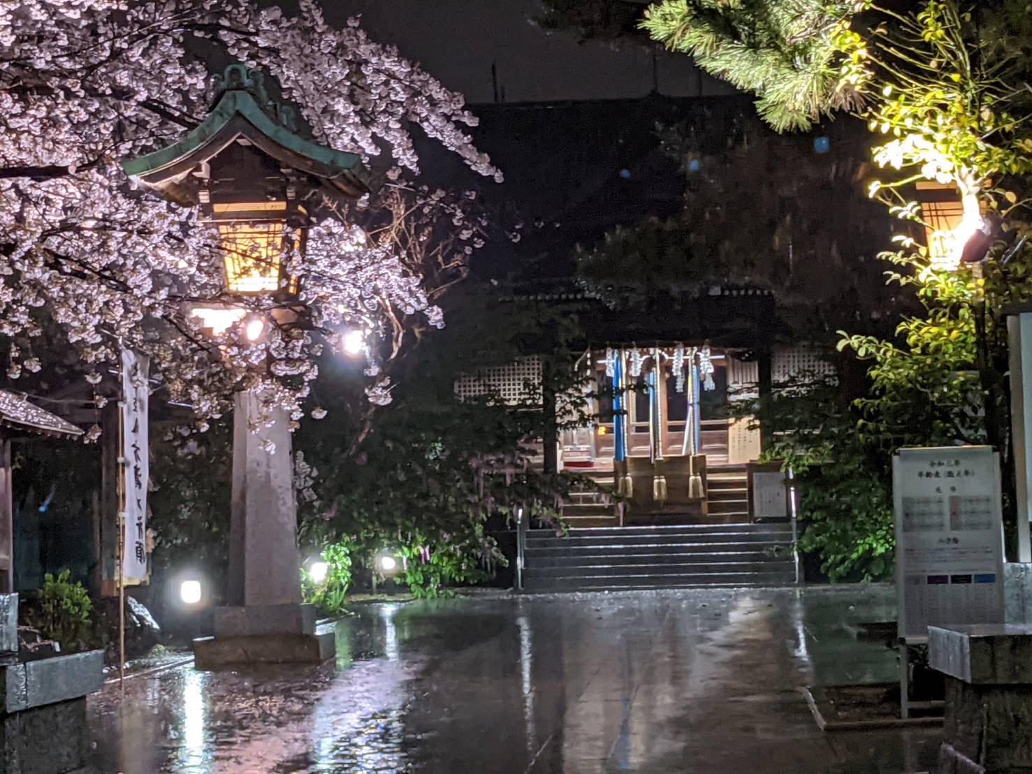 店舗桜だより～桜新町駅前店～